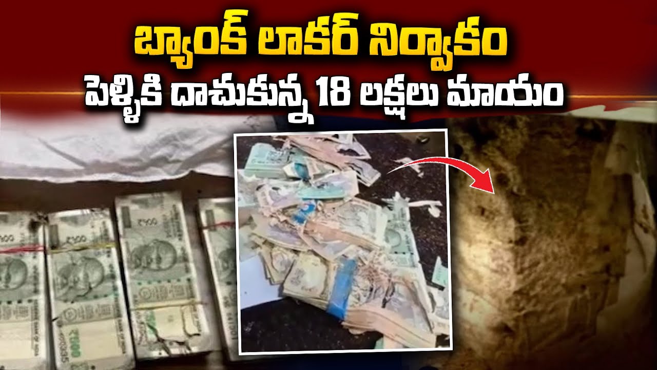 Termites Eaten Currency Notes in Bank | బ్యాంకులోని డబ్బును తినేసిన చెదలు | SumanTV Telugu