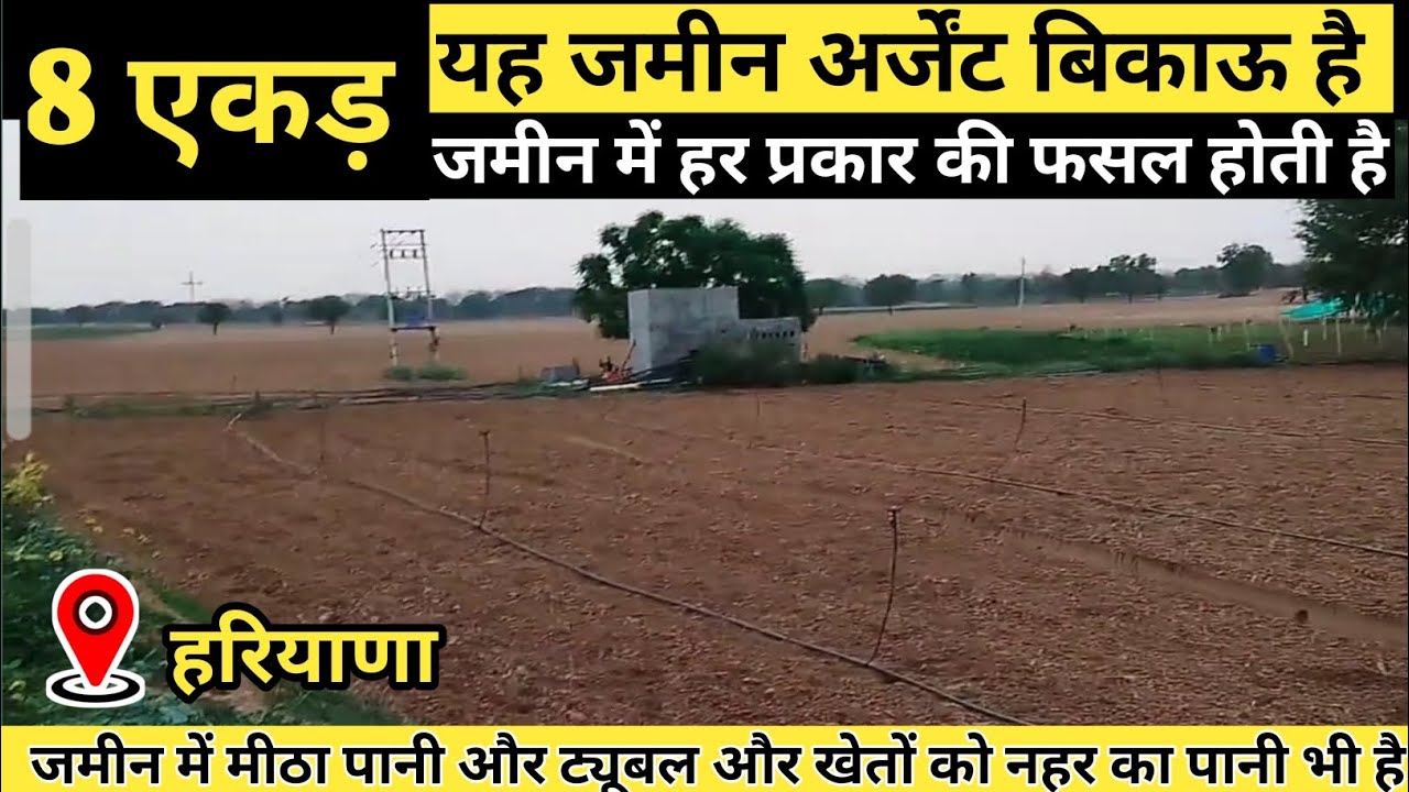 खेती की जमीन बिकाऊ हरियाणा में land in haryana #bhiwani #haryana #agriculture #realestate #property
