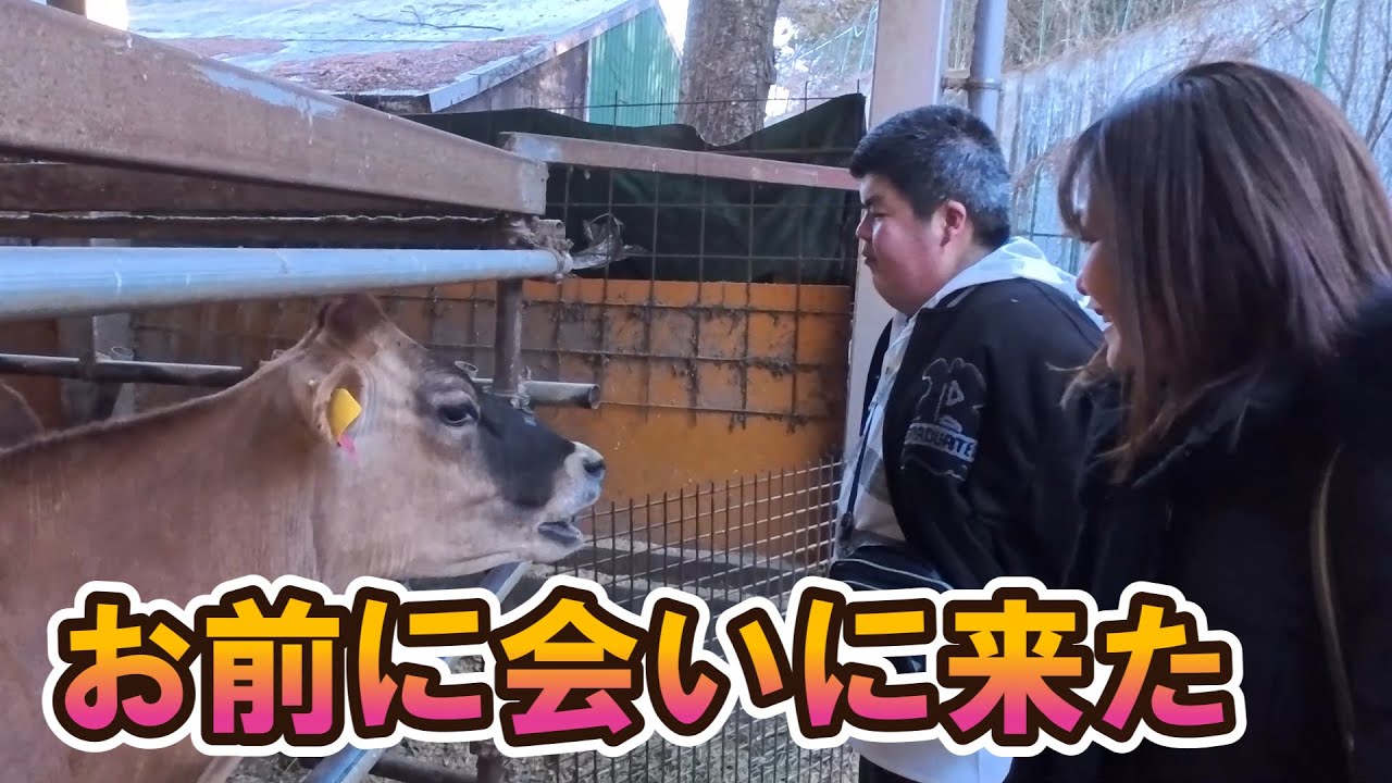 牛にそっと教えてもらった気がします！