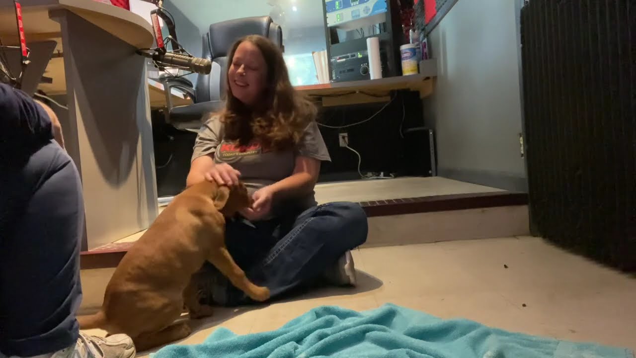 KDKD Pet of the Week: Dominic the (Puppiest) Puppy!