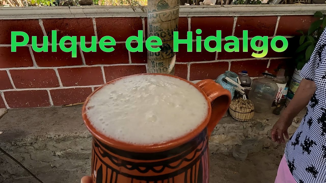 Donde buscar el mejor pulque de hidalgo
