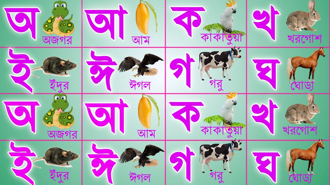 ছোট বাচ্চাদের পড়াশোনা | অ আ ক খ | বাংলা বর্ণমালা  | Bangla Bornomala |  Bangali Alphabet | kids