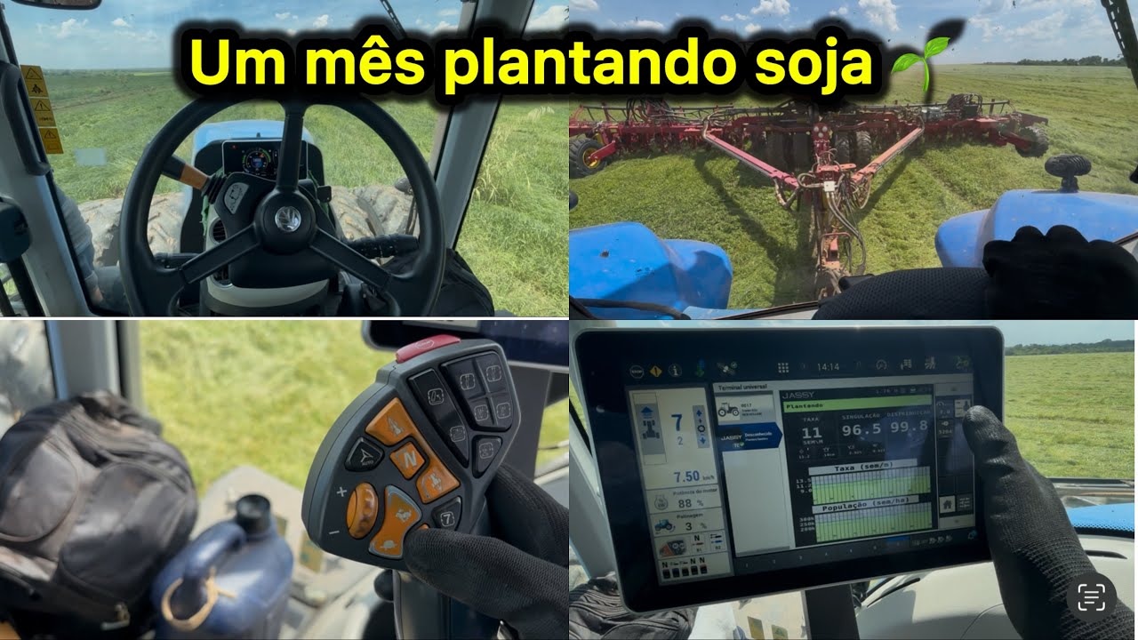 1 MÊS PLANTANDO SOJA 🌱
