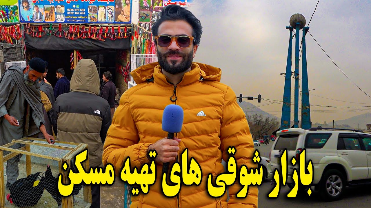گزارش ویژه ظهور نوری از بازار شوقی های تهیه  مسکن کابل