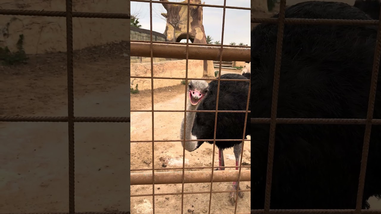 Уроки заработка в социальных сетях по ссылке в шапке профиля