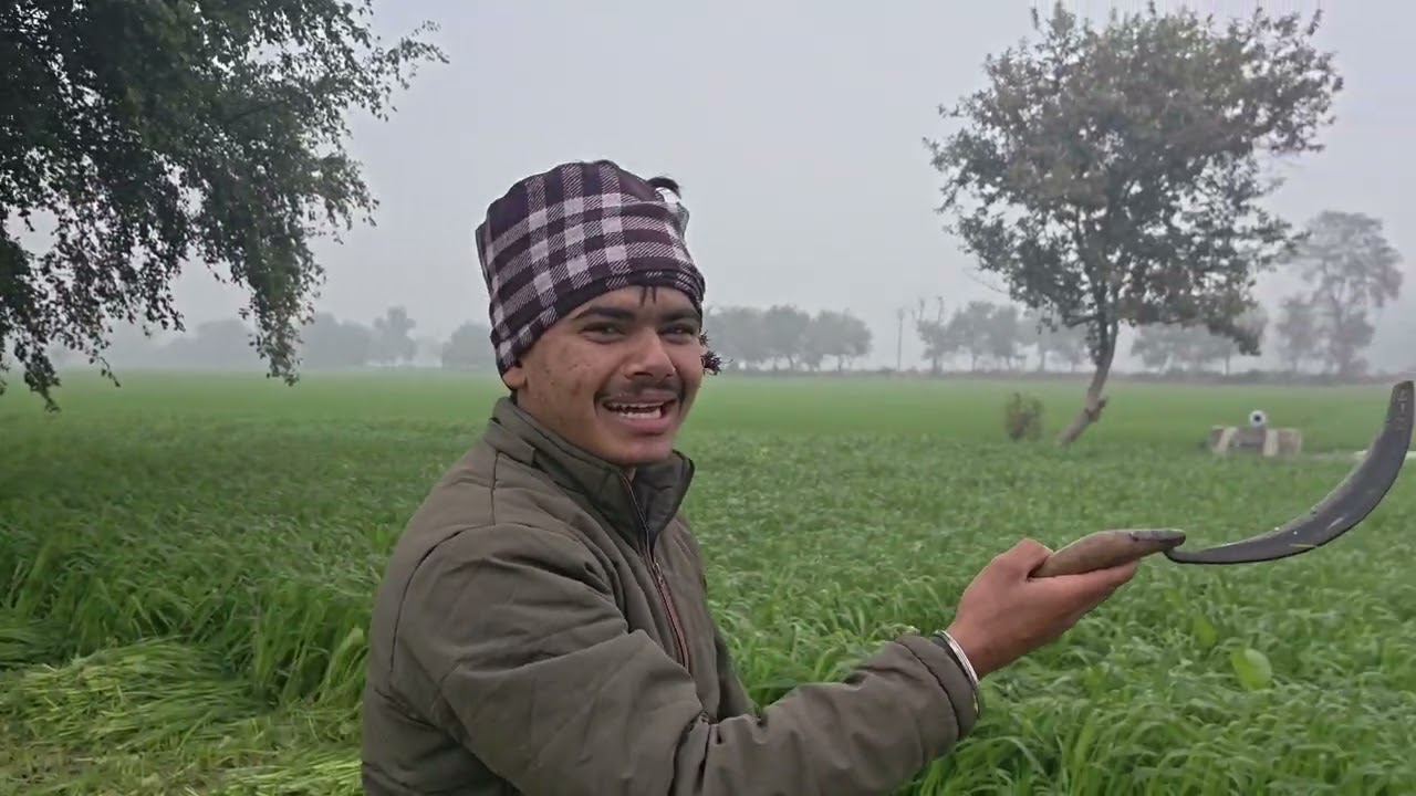 Ghar Se khet Hara Lene