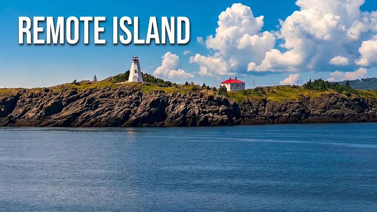 See Puffins at Machias Seal Island New Brunswick, Canada/Maine, US