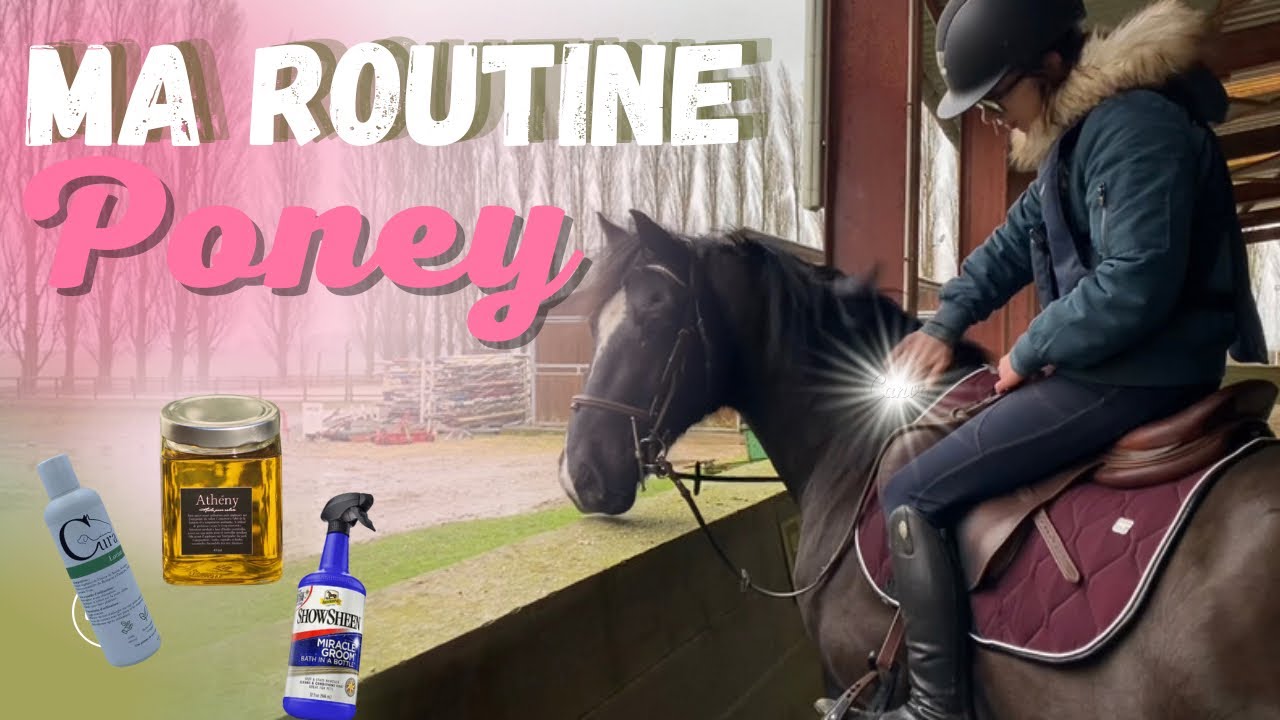 [VLOG] MA ROUTINE DE CAVALIÈRE