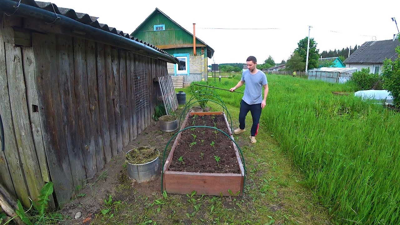 В Деревне Полно Дел, но Есть Нюанс..