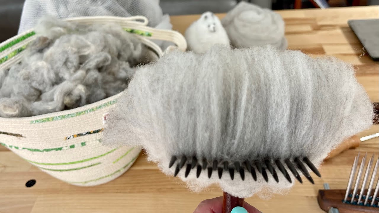 How To Scour and Comb CVM Romeldale Fleece