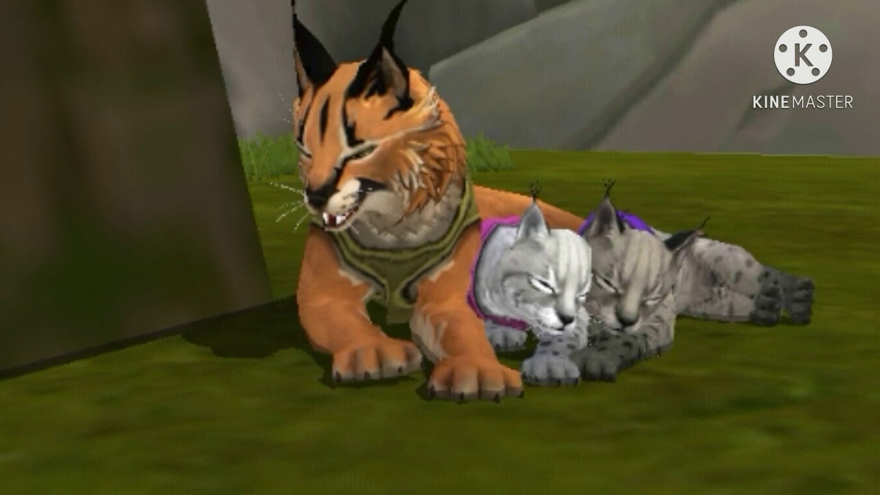 Wildcraft: A sad Lynx Story