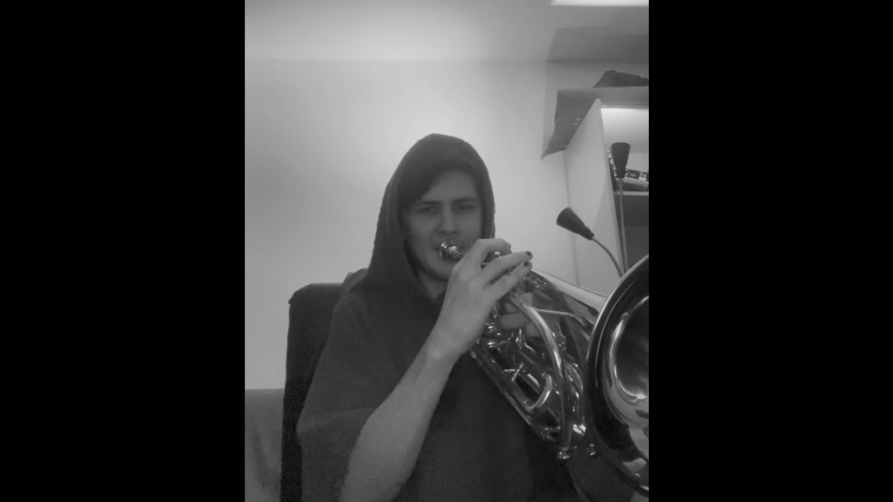 jazz trumpeter plays on 350 bucks thomann marching bariton