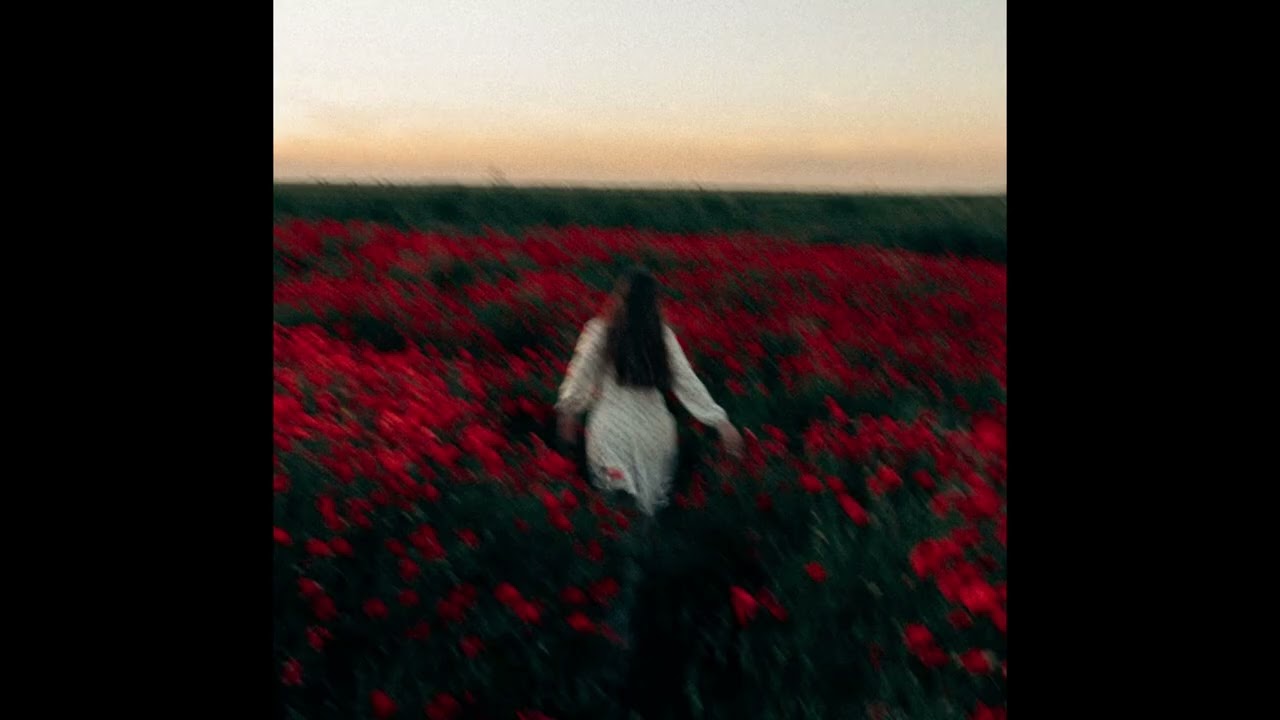 [FREE FOR PROFIT] R&B Acoustic Guitar Trap Type Beat - Roses