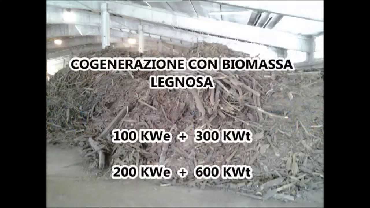 COGENERAZIONE A CIPPATO