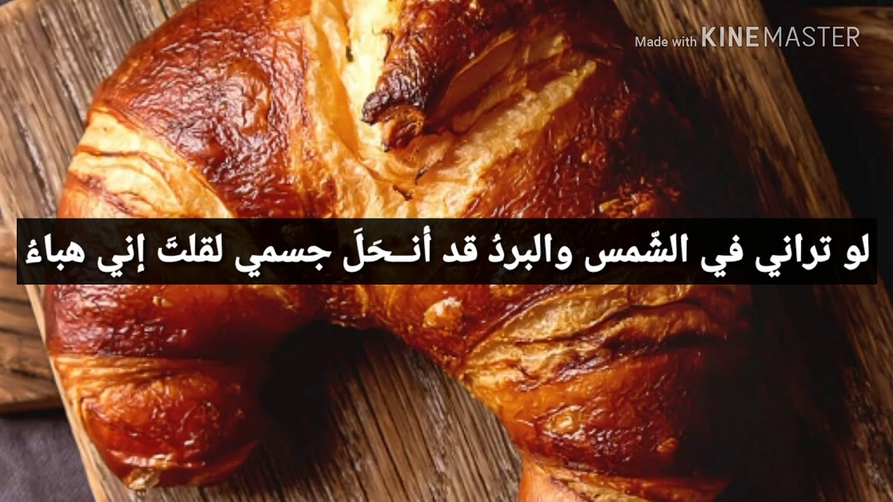 قصيدة الشاعر والفقر (للشاعر يحيى بن عبدالعظيم أبو الحسين الملقب الجزار)