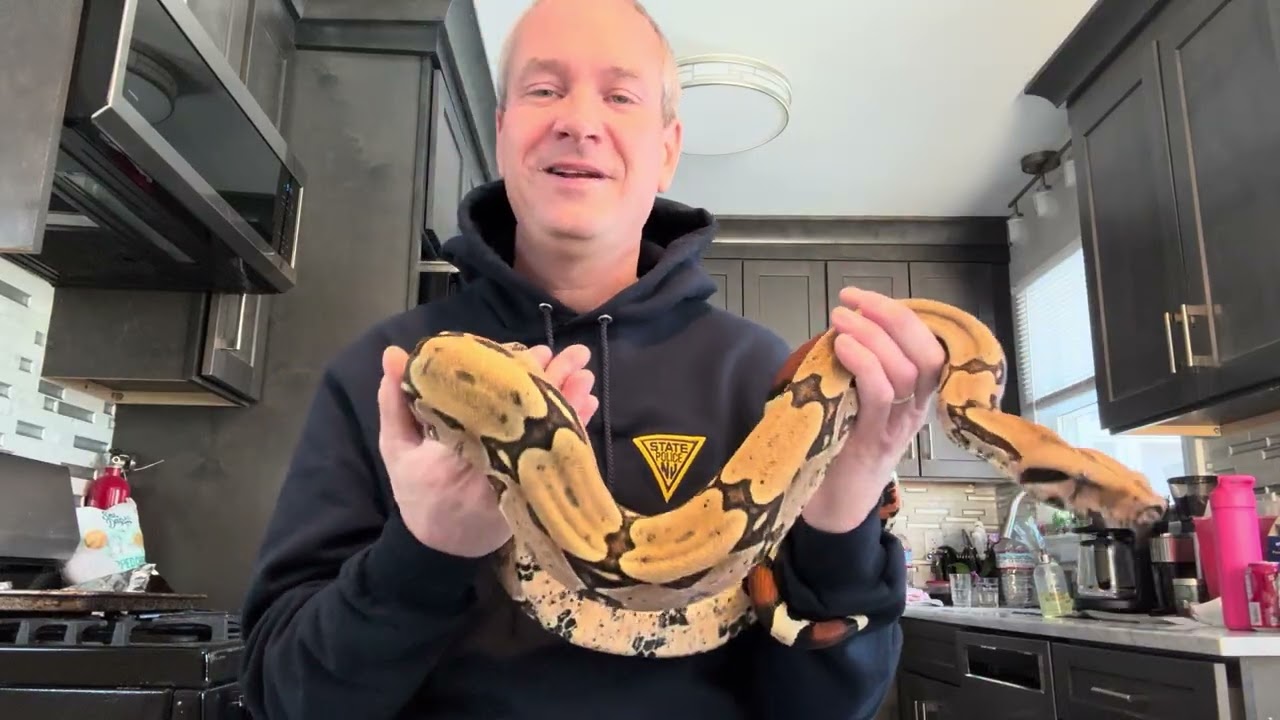 BCC Vs other Boas
