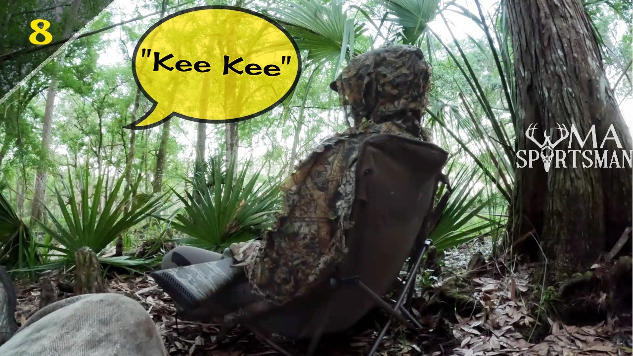 Kee Kee runs and Yelping (2025 archive) Florida public land Turkey hunting