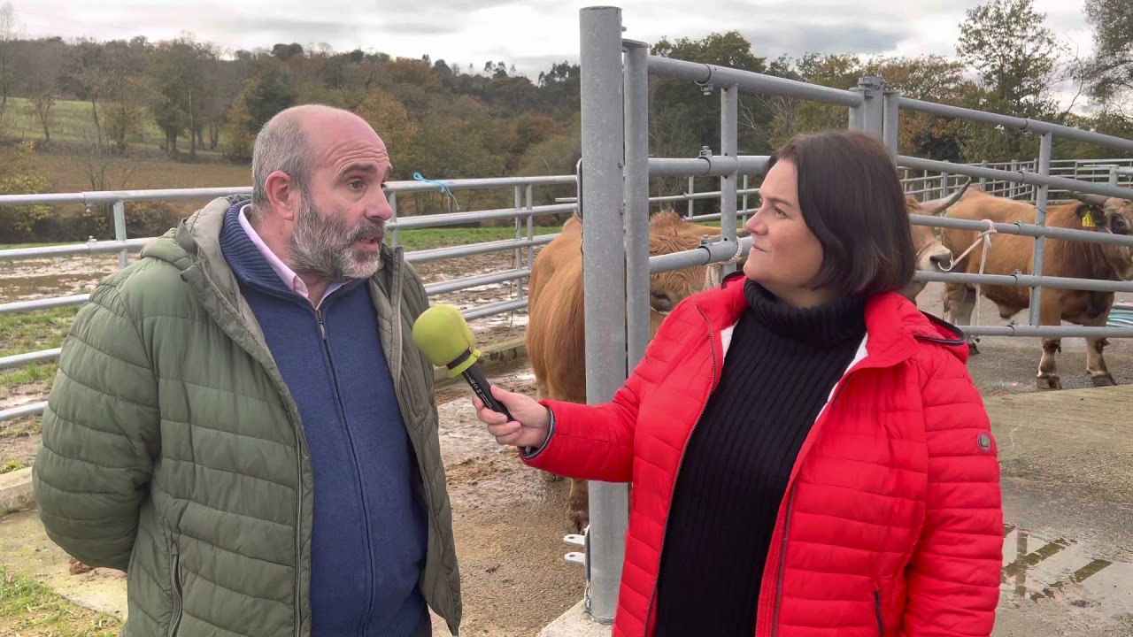 Ángel Rodríguez Castañón, secretario ejecutivo de ASEAMO / El Campo de Asturias