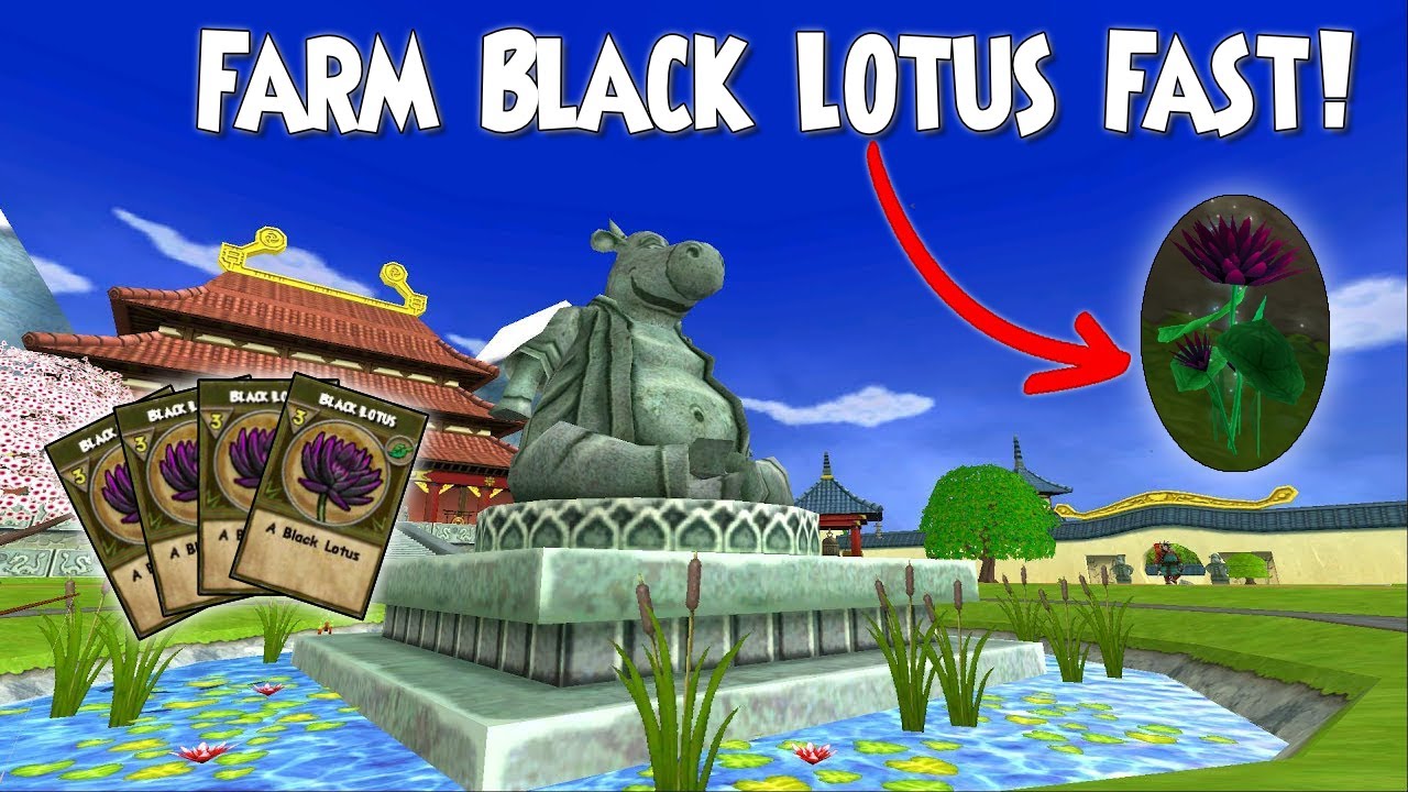Ultimate Guide to Finding Black Lotus Reagents FAST! 🌿✨ | Wizard101