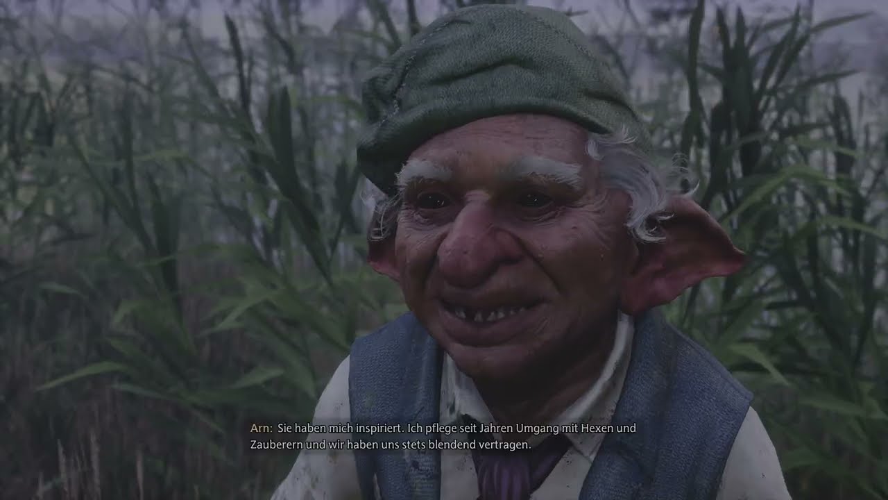 19 Hogwarts Legacy - Weggekarrt