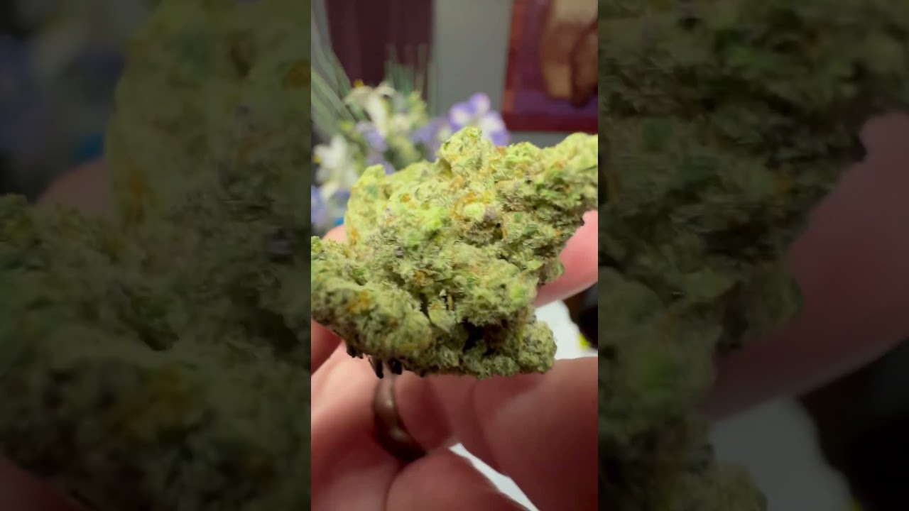 Larry Bird Thc Strain review! #thc #sesh #thca #hemp