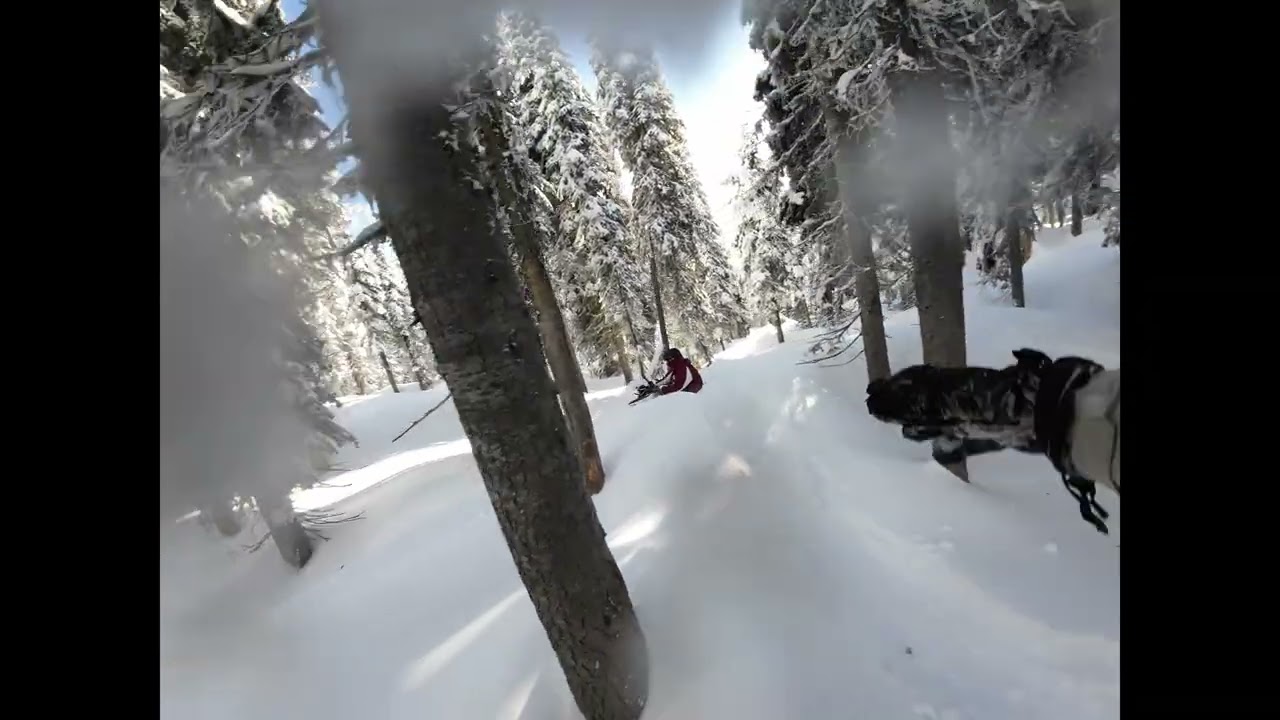 SNOWBOARDING'S BEST KEPT SECRET: Whitefish, MT