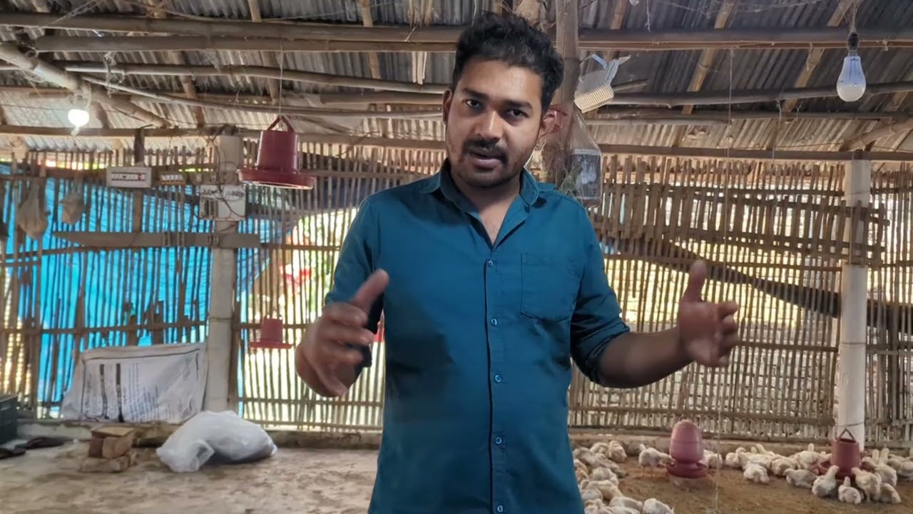 আমার  মুরগীর খামারের প্রথম ভিডিও My first vlog video