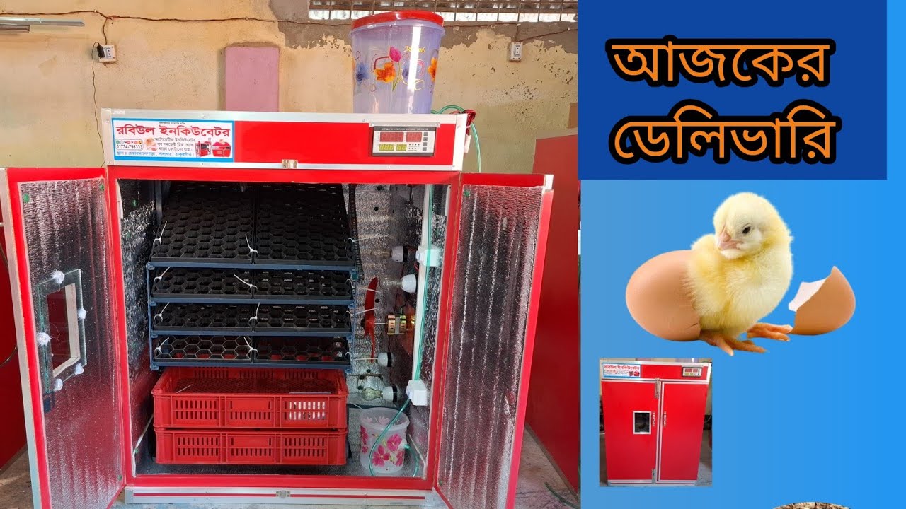 আলহামদুলিল্লাহ আজকের ইনকিউবেটর ডেলিভারি টাংগাইল, হবিগঞ্জ, গাজীপুর ও নাটোর rabiul incubator