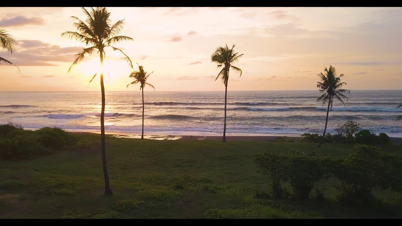 Chrizz Morisson-Tropical Dream (extended Mix)