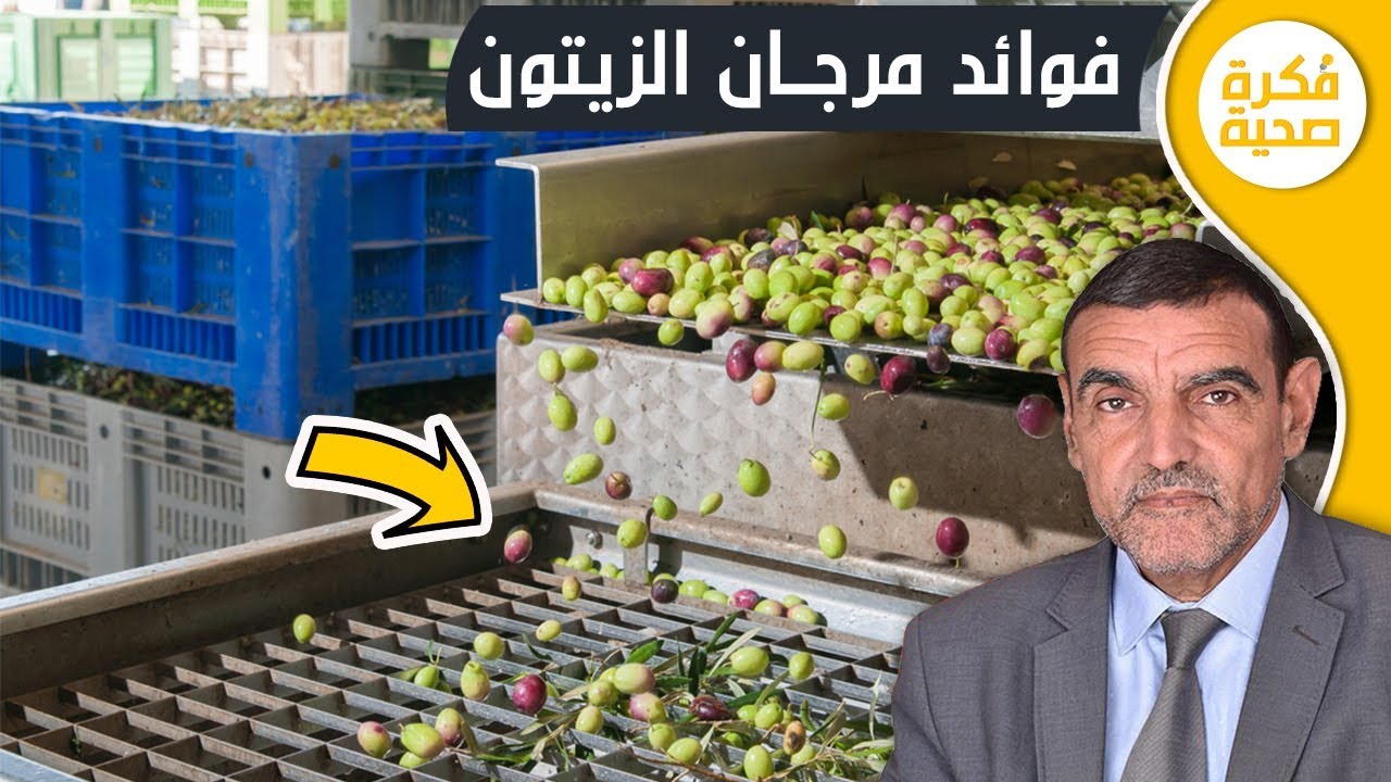 فوائد مرجان الزيتون لصحة الانسان مع الدكتور محمد الفايد Docteur Mohamed el faid