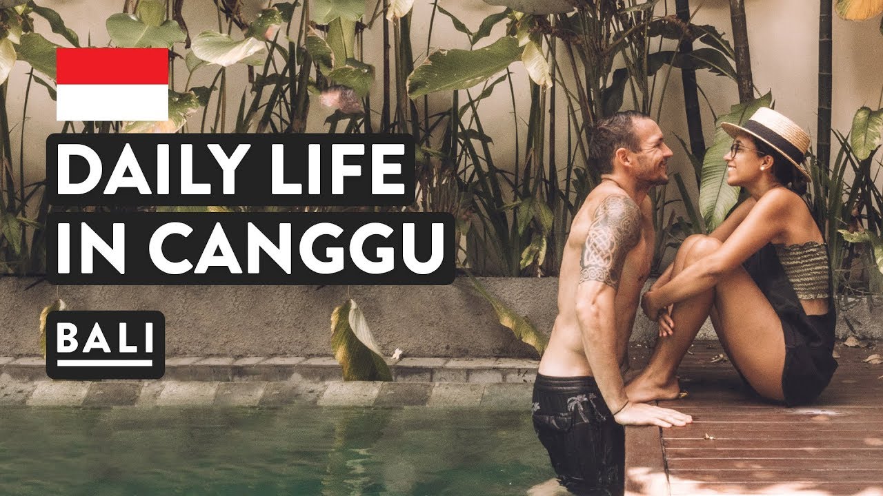 SNAKES IN BALI + DAY IN THE LIFE CANGGU | Indonesia Travel Vlog | Digital Nomad