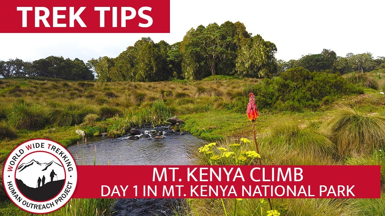 Climbing Mount Kenya Day 1 | Trek Tips