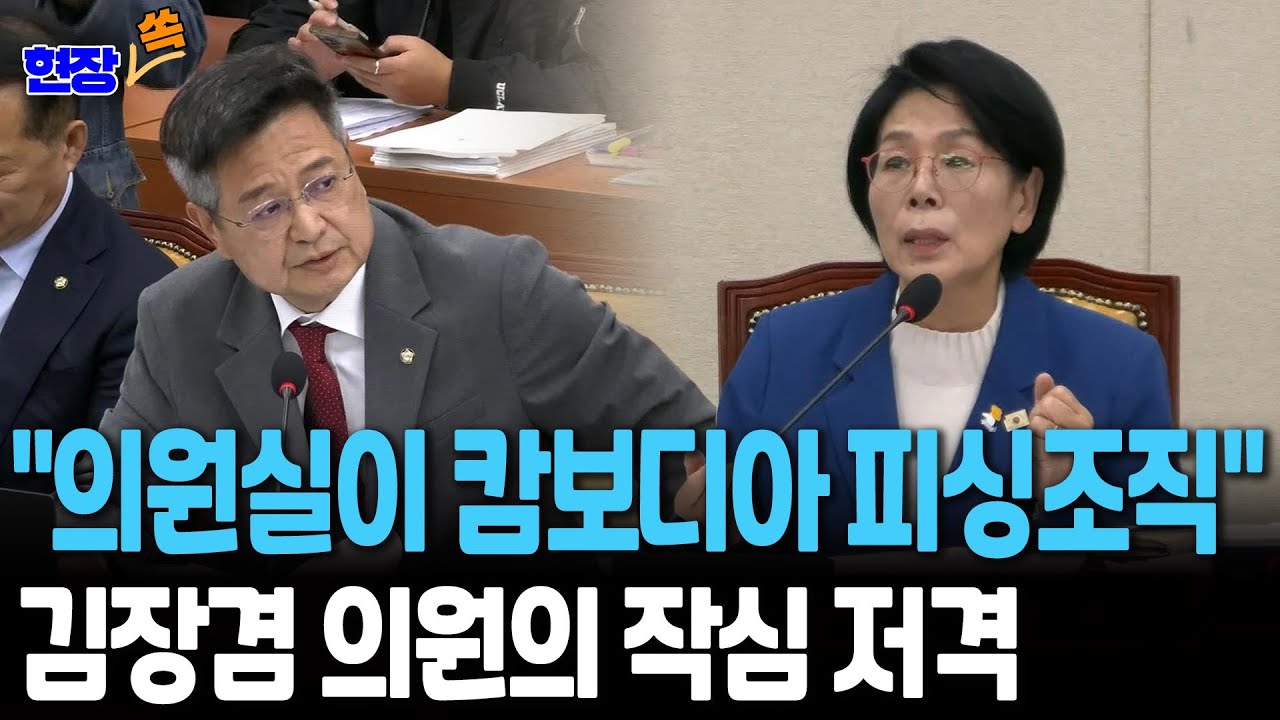 [현장쏙] 