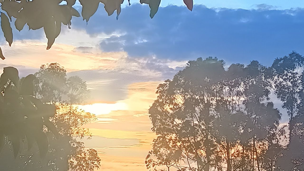 Dia á dia (vlog) 