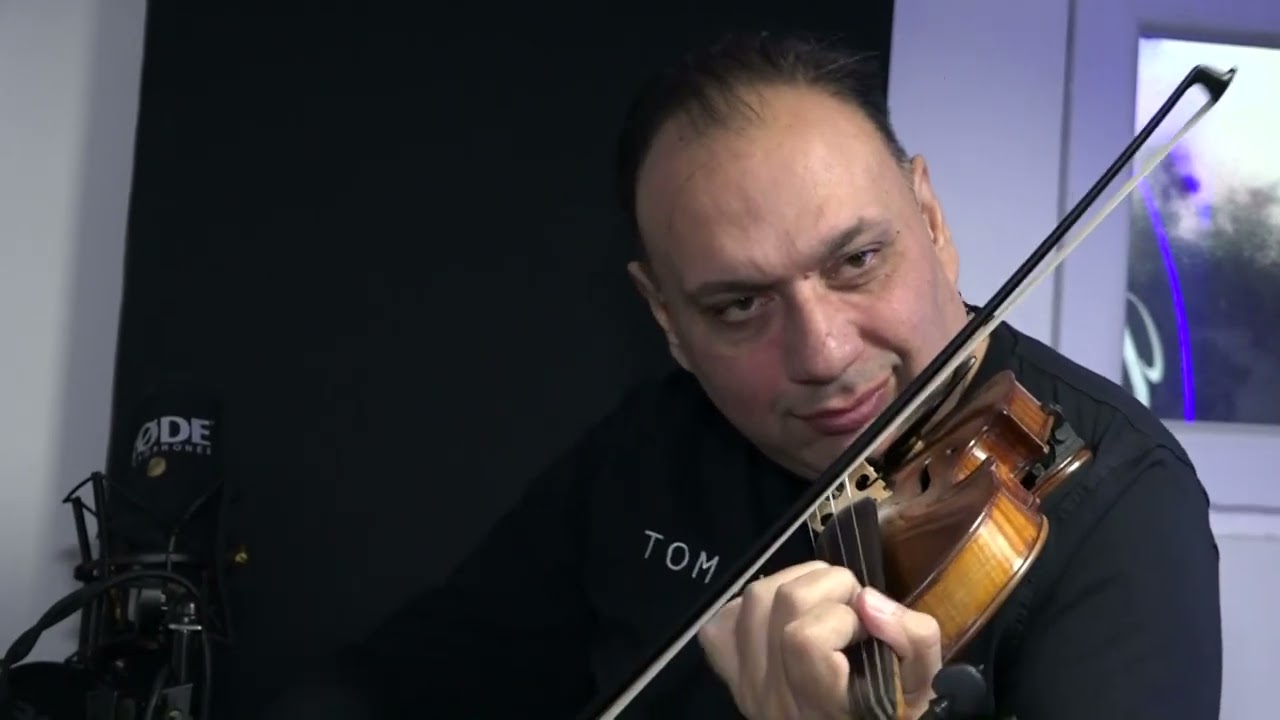 Muzička porodica Veljković