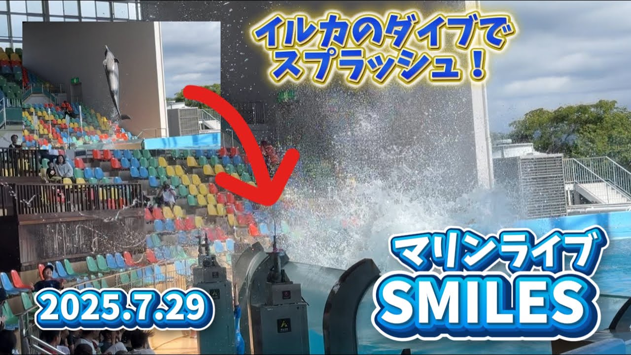 マリンライブ「SMILES」2025.7.29 一回目公演 【 #アドベンチャーワールド 】 #イルカショー 