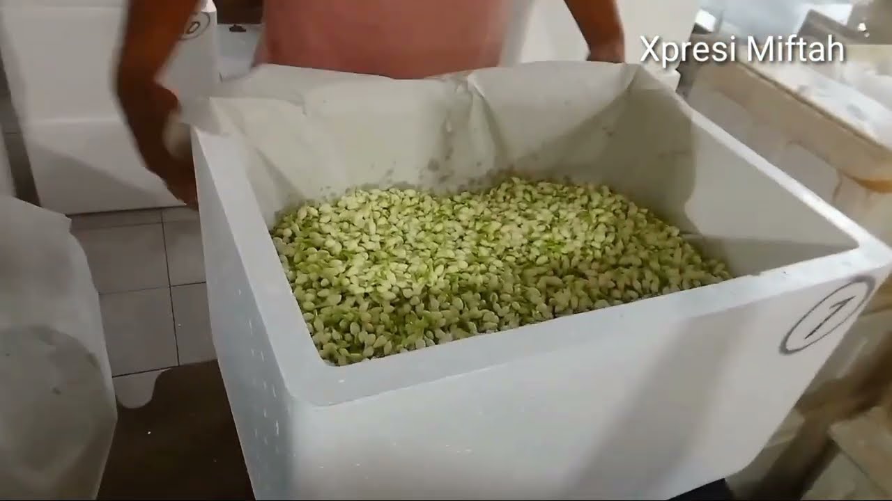 PACKING JASMINE FLOWER FOR EXPORT