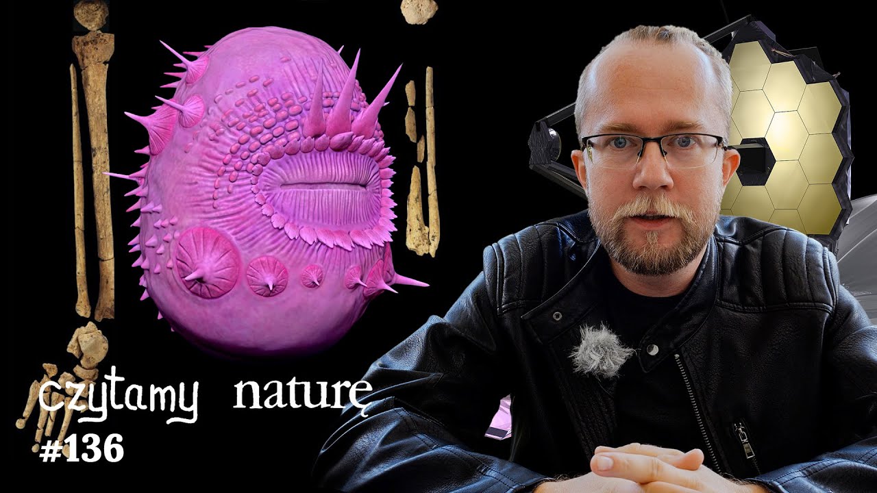 Amputacja sprzed 31 tys. lat - Niewyspani nie pomagamy - Potworek i planetka | Czytamy naturę #136