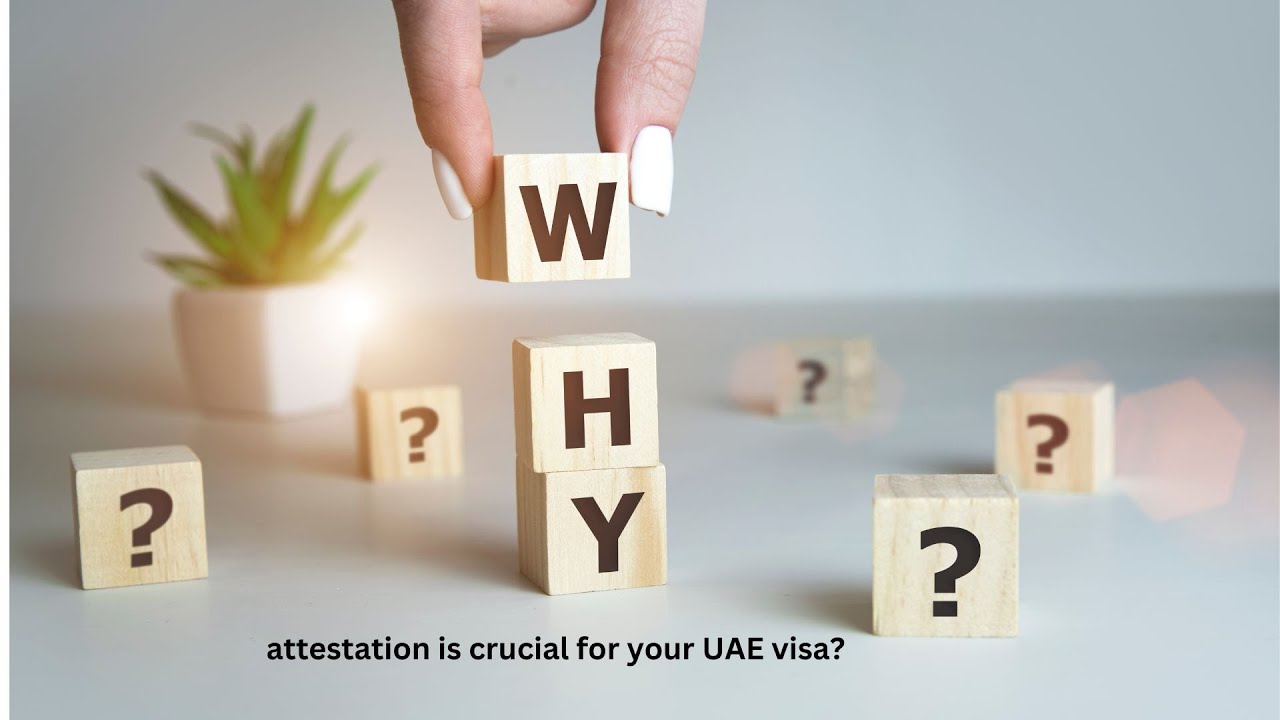 do you know why you need attestation in the uae