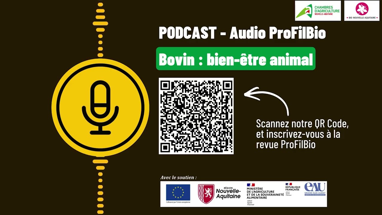 PODCAST Audio ProFilBio / Bovin : bien-être animal
