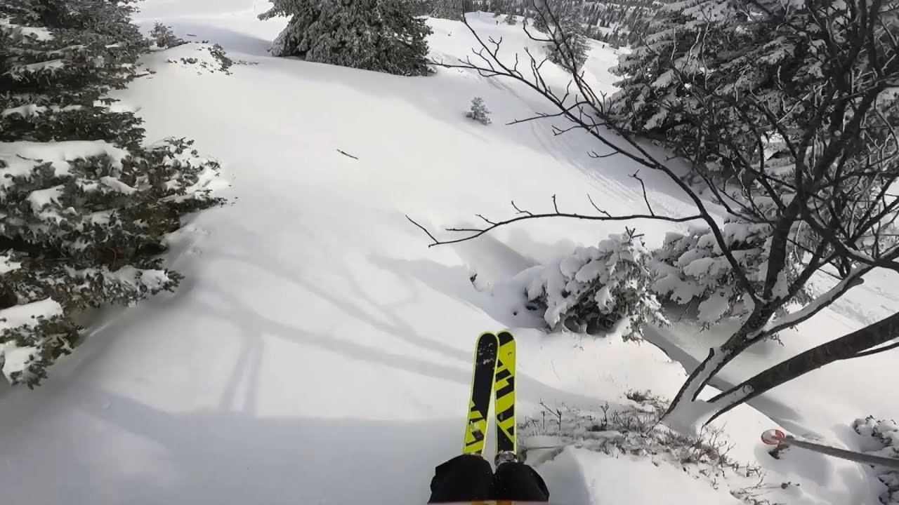 Margeriaz #2 #powder #ski #sun 