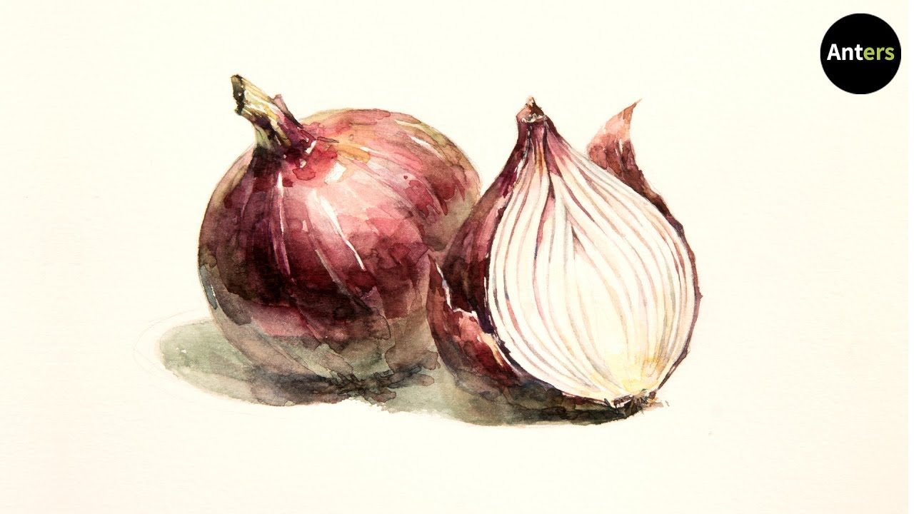 How to draw red onion in watercolor