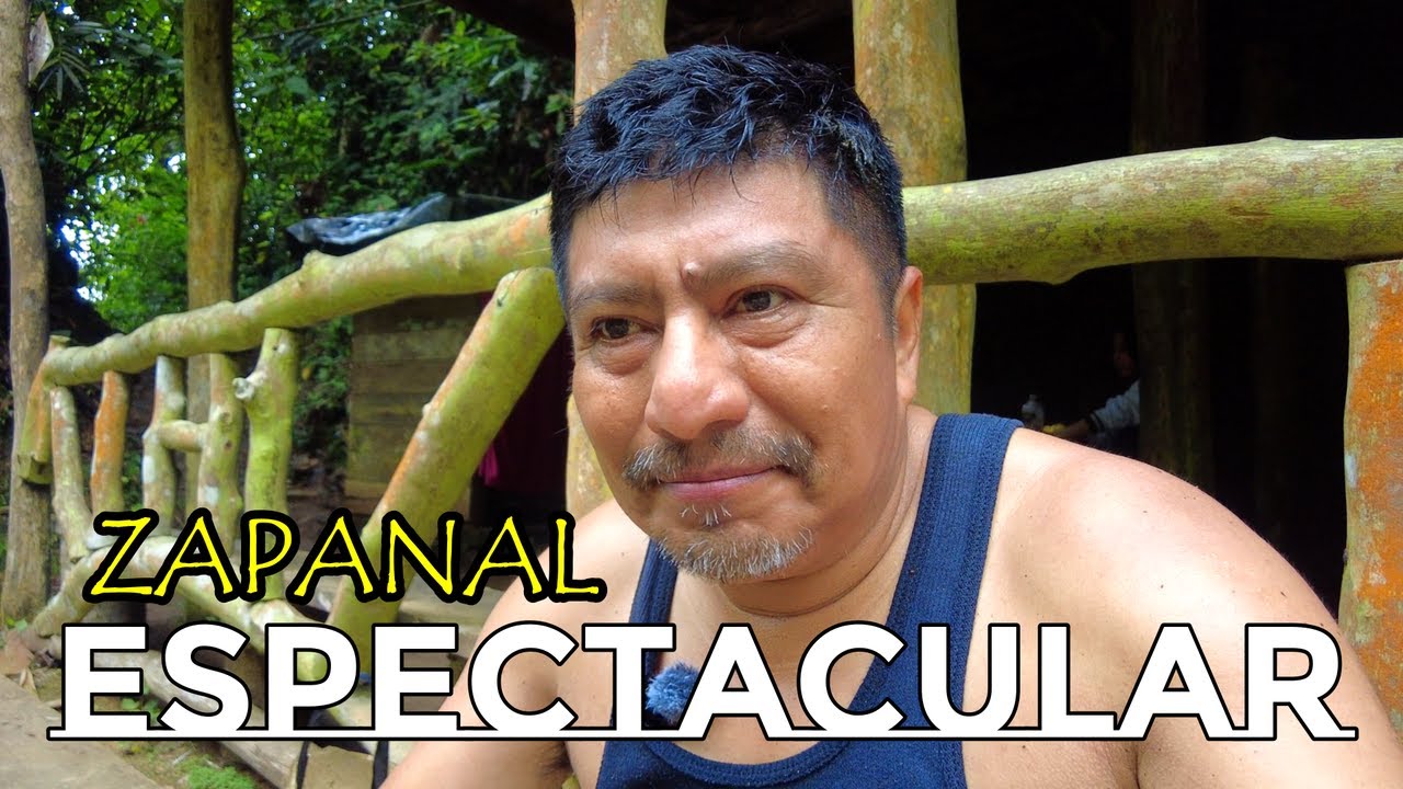 ¡UN DÍA INCREÍBLE EXPLORANDO LAS 7 CASCADAS DEL ZAPANAL! Un lugar perfecto para conocer