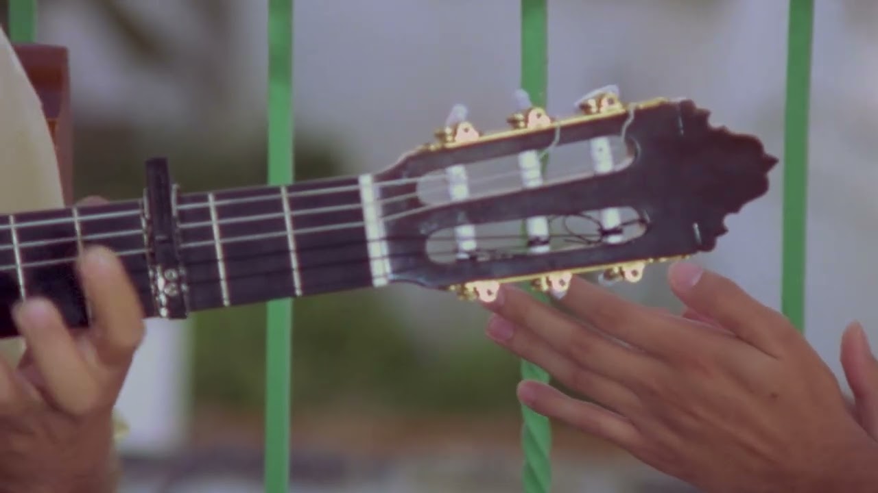 07  A Buleria by Antonio Malena guitar solo