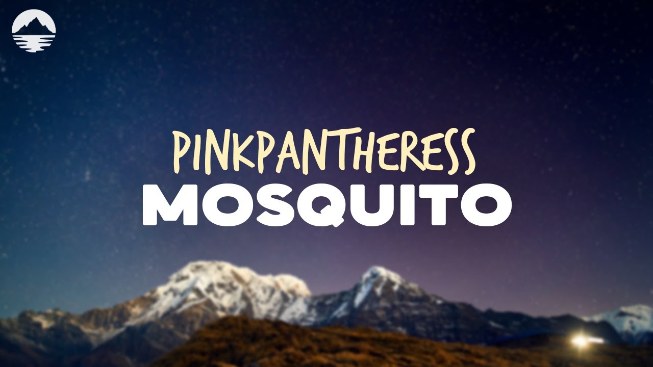 PinkPantheress - Mosquito | Dalsz&ouml;veg