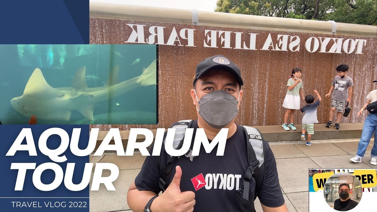 TOKYO SEA LIFE PARK.THE UNDERWATER PARADISE #TOKYOSEALIFEPARK#AQUARIUM