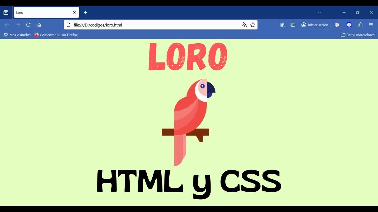 🦜 Dibujando un loro con CSS y HTML - Web development