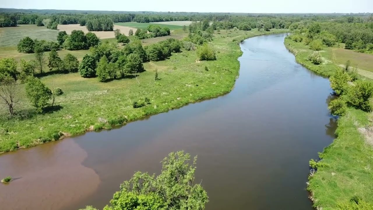 Ujście rzeki Widawka do rzeki Warta