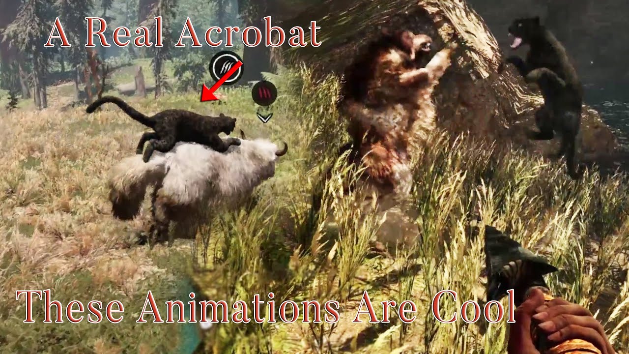 Jaguar Has Some Moves To Show Off | Far Cry Primal