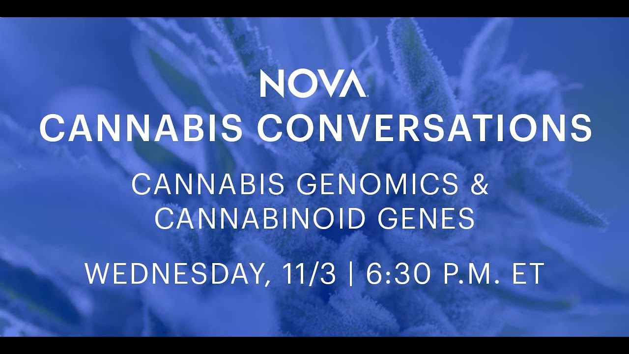 Cannabis Conversations: Cannabis Genomics & Cannabinoid Genes